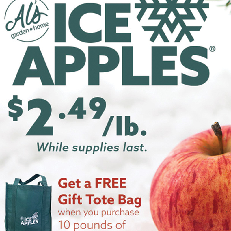 Ice Apples branding thumbnail